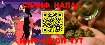 mdpv Рыбинск